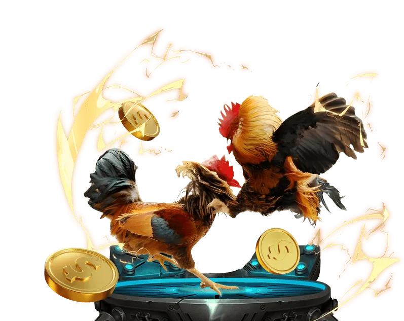 Hoàn trả hàng ngày và hàng tuần Thabet 516